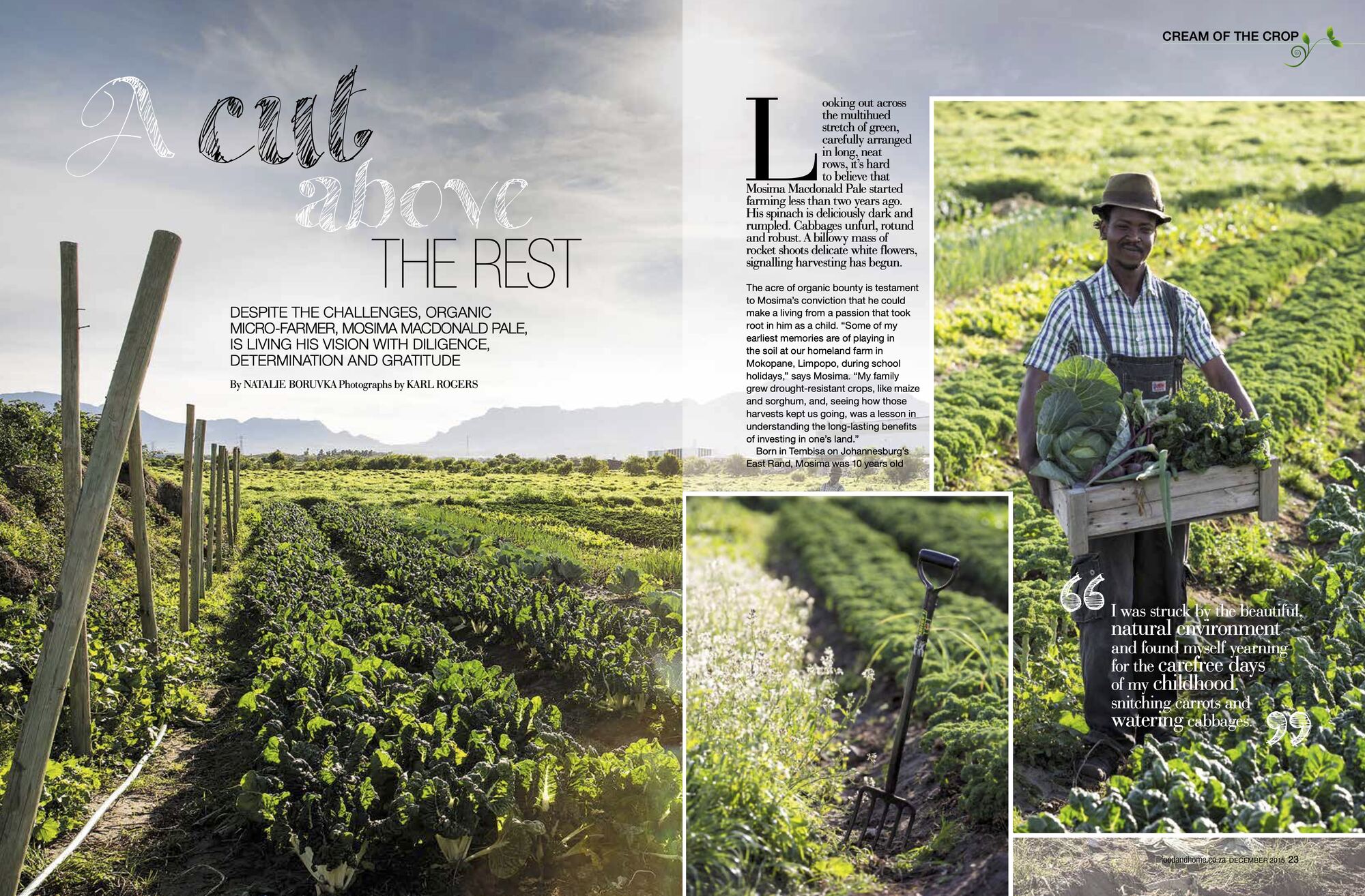 Photo showing the article A Cut Above The Rest