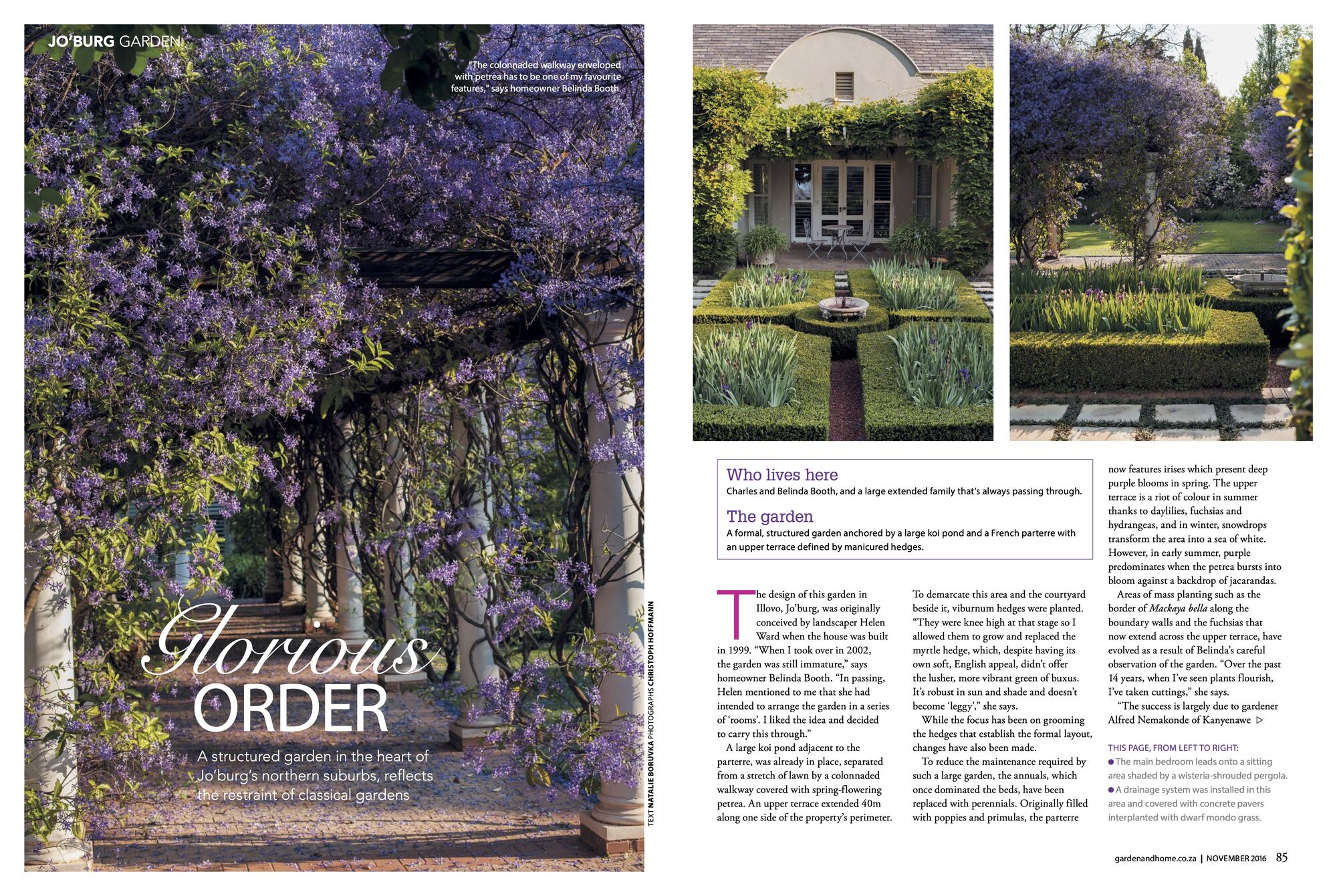 Photo showing the article Glorious Order