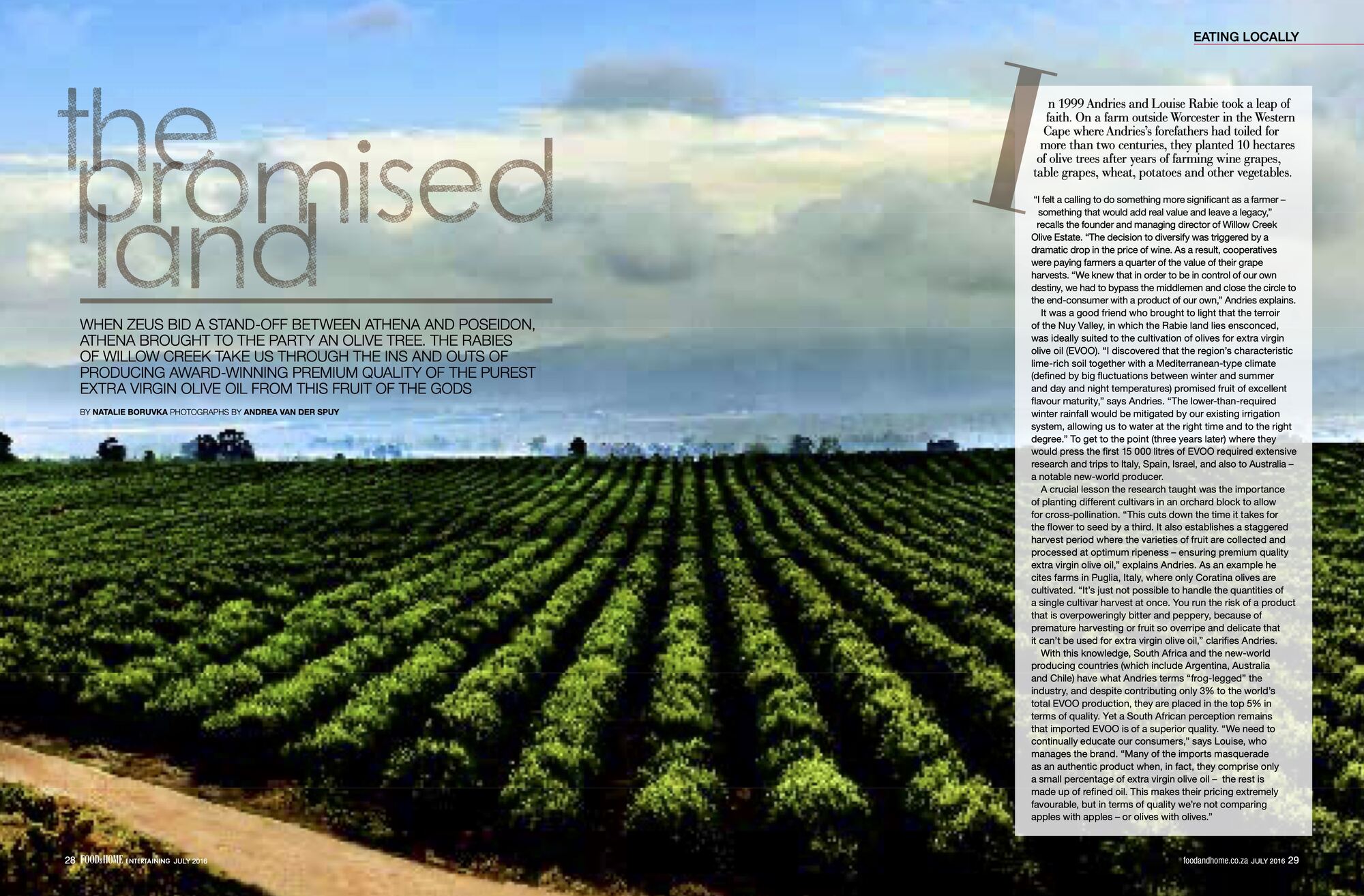 Photo showing the article The Promised Land